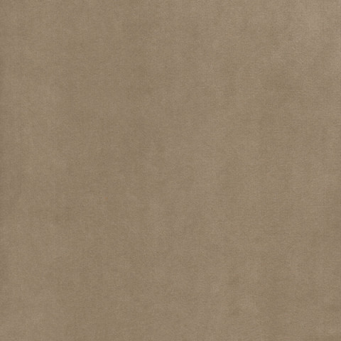 Микровелюр Империя. Цвет Imperia latte