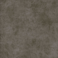 Camel 5 Tobacco Brown