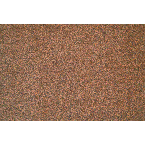 Велюр Elari. Цвет Elari 6