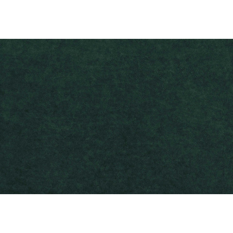 Велюр Omega. Цвет Omega 40