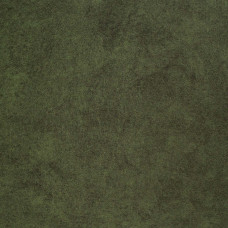 Jaguar 12