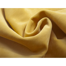 Model Yellow