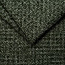 Fjord 11 Winter Moss