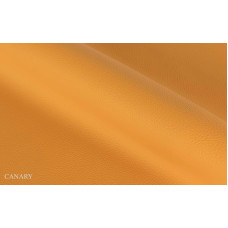 Effico Canary