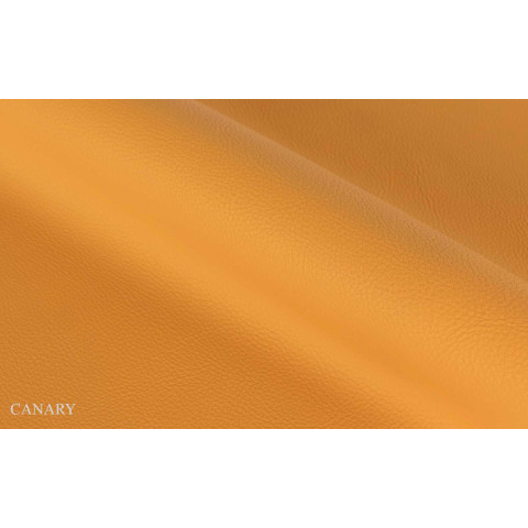 Effico Canary