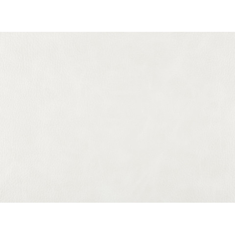 Экокожа Bizon. Цвет Bizon 18