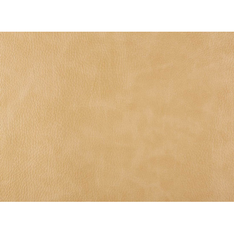 Экокожа Bizon. Цвет Bizon 23