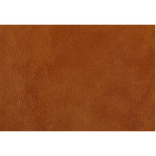 Mango 8967