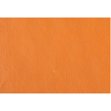 Mango 9253