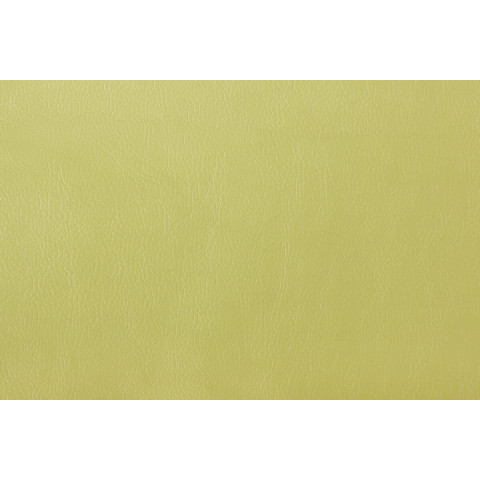 Экокожа Mango. Цвет Mango 3823