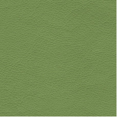 Stainless-3823 Stainless-3823