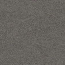 Stainless-646 Stainless-646