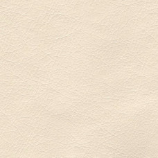 Stainless-701 Stainless-701