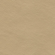 Stainless-702 Stainless-702