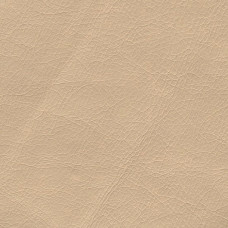 Stainless-704 Stainless-704