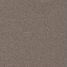 Stainless-706 Stainless-706