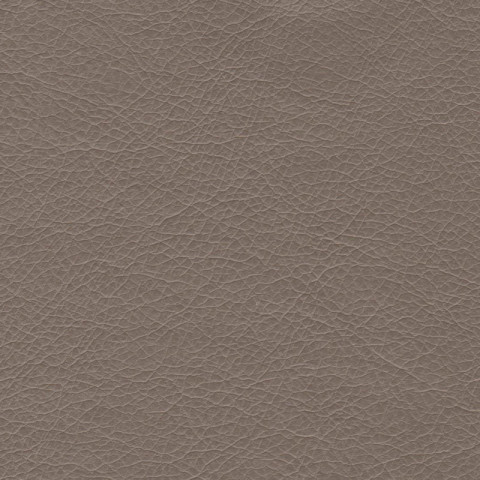 Экокожа Stainless. Цвет Stainless-706