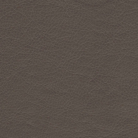 Экокожа Stainless. Цвет Stainless-709