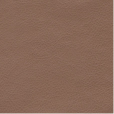 Stainless-710 Stainless-710