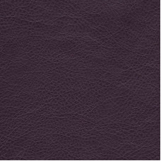 Stainless-711 Stainless-711