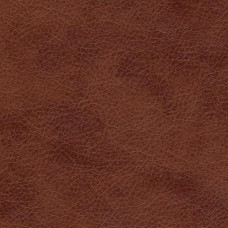 Stainless-8967